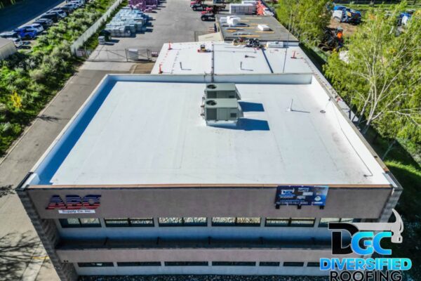 WhatsApp Image 2024-05-08 at 17.42.54 (1) WhatsApp Image 2024-05-08 at 17.42.54 (1)