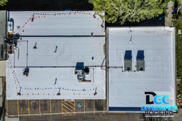 WhatsApp Image 2024-05-08 at 17.42.54 WhatsApp Image 2024-05-08 at 17.42.54