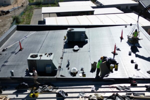 WhatsApp Image 2024-05-20 at 11.20.57 WhatsApp Image 2024-05-20 at 11.20.57